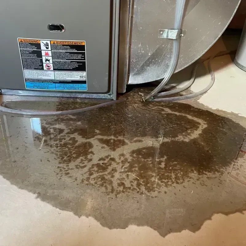 Appliance Leak Cleanup in Carlinville, IL